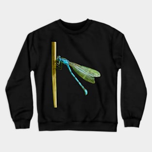 Damselfly Crewneck Sweatshirt